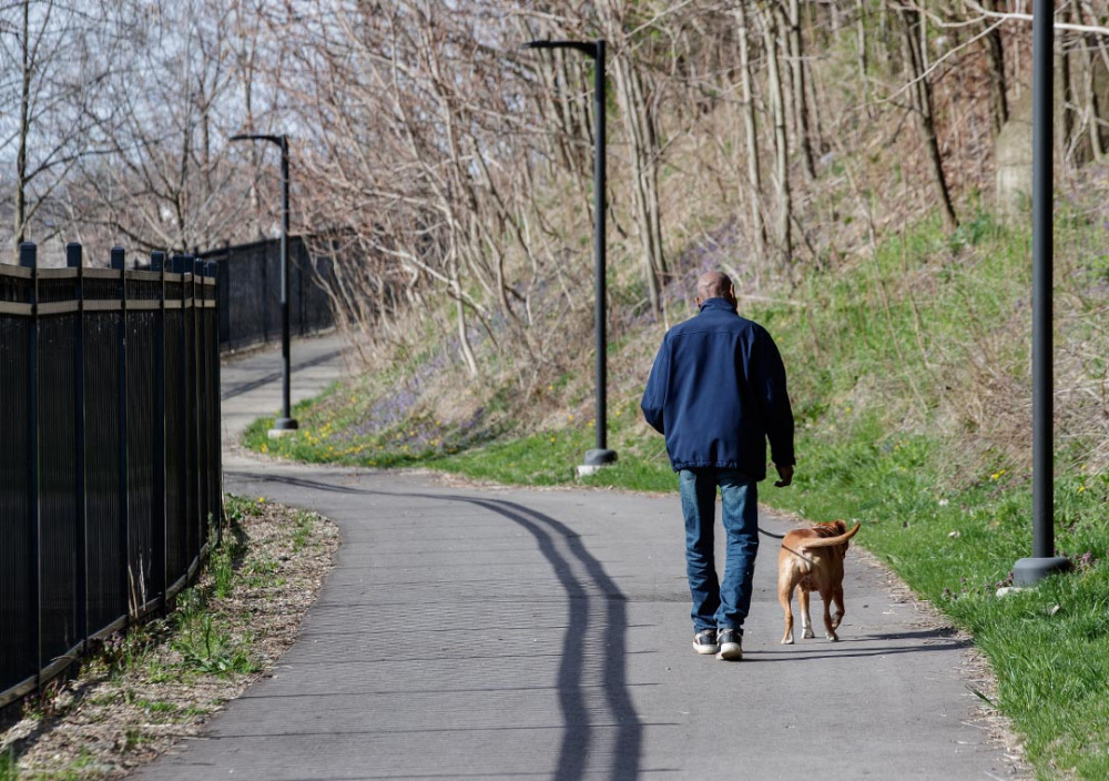 Man Walks Dog on Trail